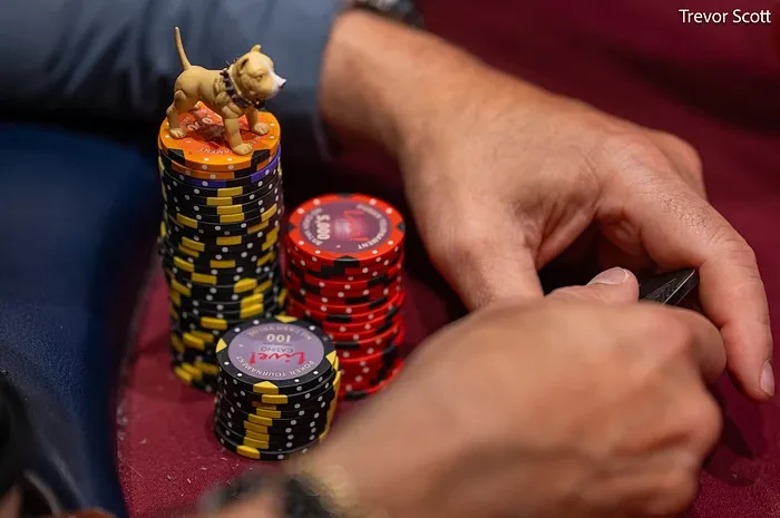 The Secret Poker Strategies Top Players Use to Dominate Online Tournaments