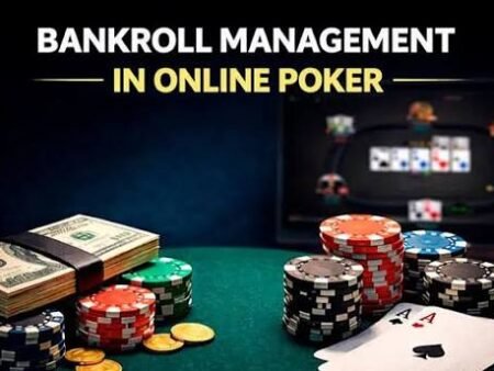 Bankroll Calculator Guide: How Much Should You Really Be Playing With?