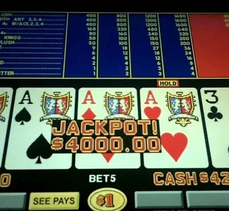 Triple Double Bonus Poker Strategy: High-Variance Video Poker Mastered